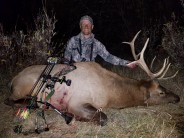 Montana Bull Elk Archery